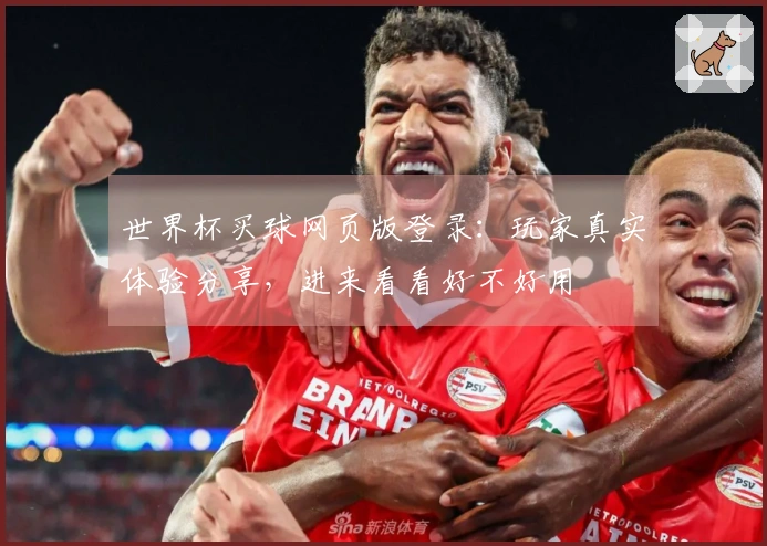 世界杯买球网页版登录：玩家真实体验分享，进来看看好不好用