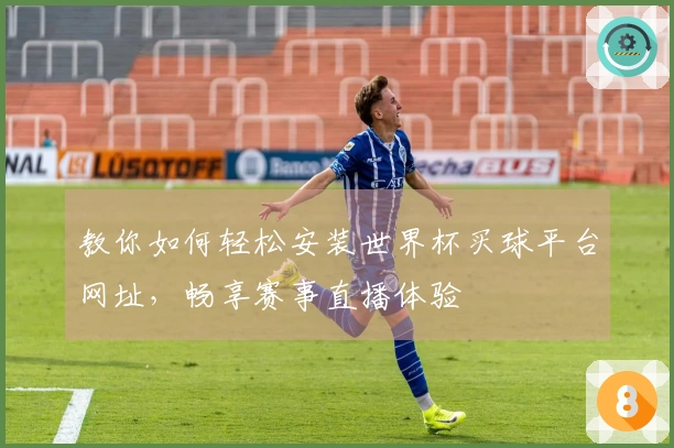 教你如何轻松安装世界杯买球平台网址，畅享赛事直播体验