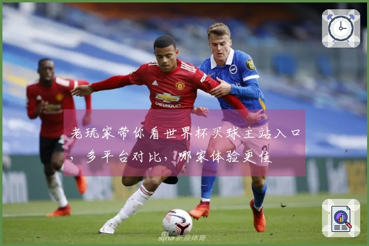 老玩家带你看世界杯买球主站入口，多平台对比，哪家体验更佳