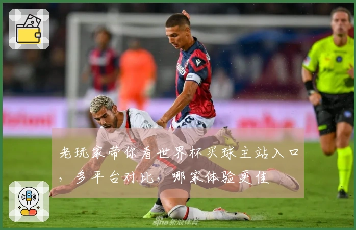 老玩家带你看世界杯买球主站入口，多平台对比，哪家体验更佳