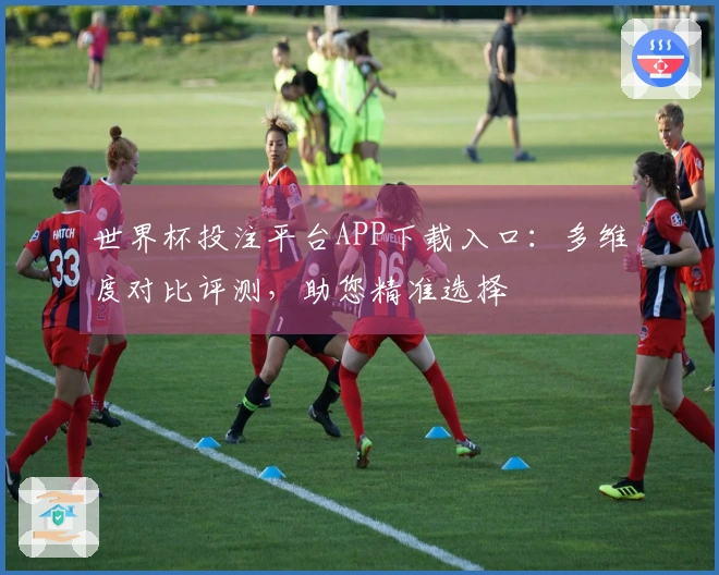 世界杯投注平台APP下载入口：多维度对比评测，助您精准选择