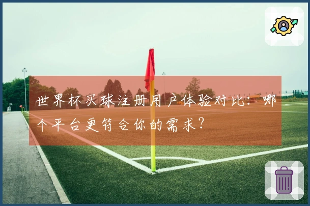 世界杯买球注册用户体验对比：哪个平台更符合你的需求？