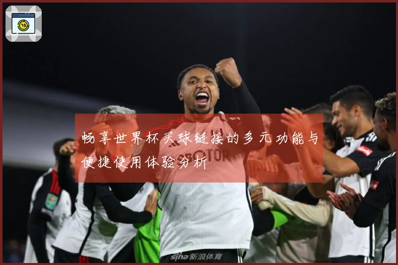 畅享世界杯买球链接的多元功能与便捷使用体验分析