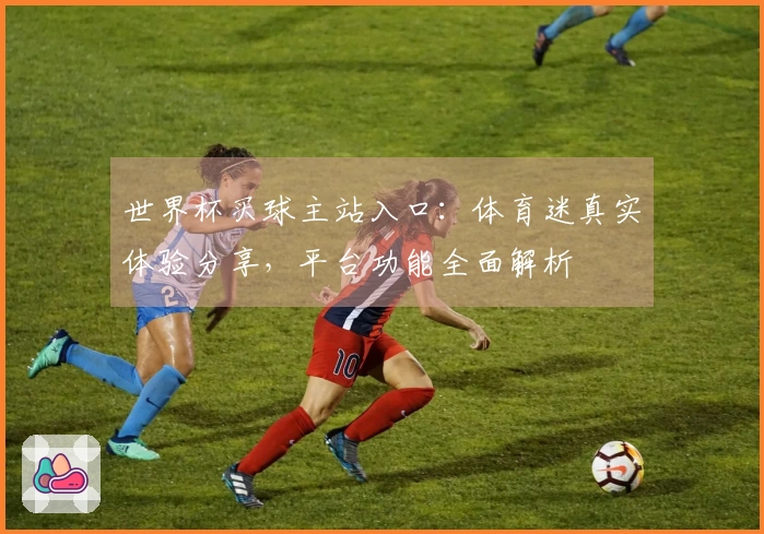 世界杯买球主站入口：体育迷真实体验分享，平台功能全面解析