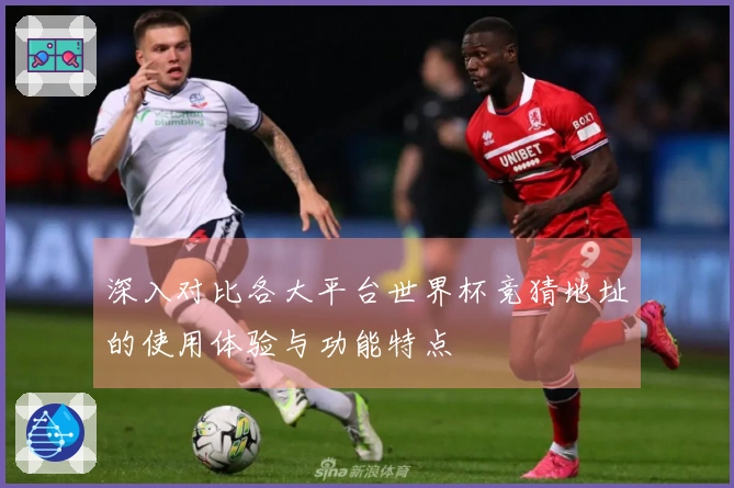 深入对比各大平台世界杯竞猜地址的使用体验与功能特点