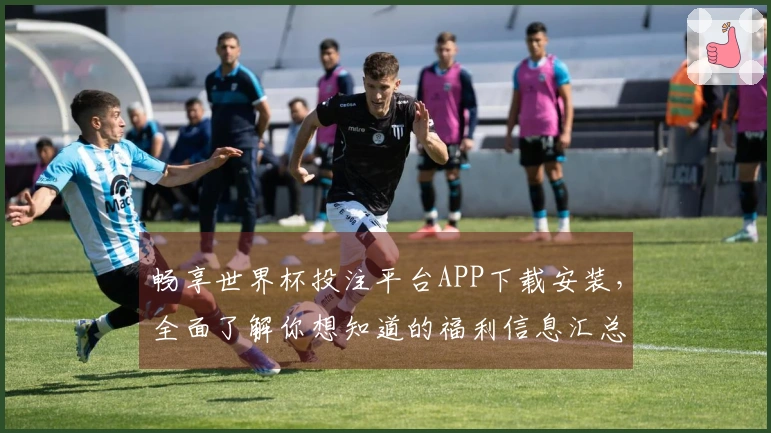 畅享世界杯投注平台APP下载安装，全面了解你想知道的福利信息汇总