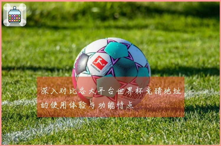 深入对比各大平台世界杯竞猜地址的使用体验与功能特点