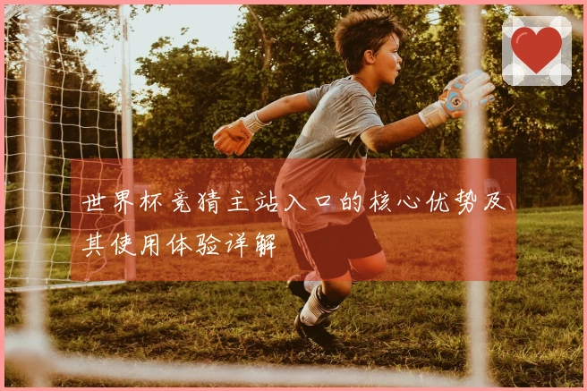 世界杯竞猜主站入口的核心优势及其使用体验详解