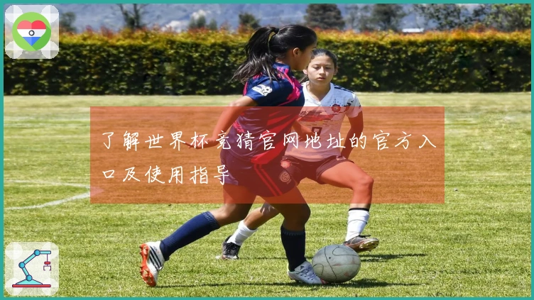 了解世界杯竞猜官网地址的官方入口及使用指导